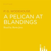A_Pelican_at_Blandings