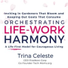 Orchestrating_Life-Work_Harmony