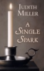 A_single_spark
