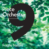 9_Piece_Orchestra__Fragile_Nature