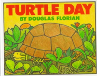 Turtle_day