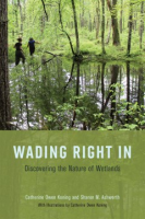 Wading_right_in