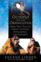 The_octopus_and_the_orangutan