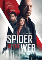 Spider_in_the_web