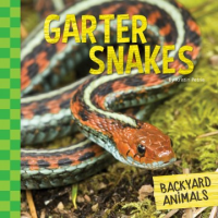 Garter_snakes
