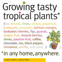 Growing_tasty_tropical_plants_in_any_home__anywhere