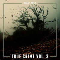True_Crime__Vol__3