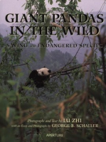 Giant_pandas_in_the_wild