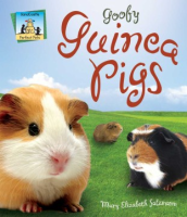 Goofy_guinea_pigs