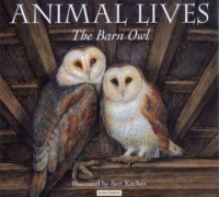 The_barn_owl