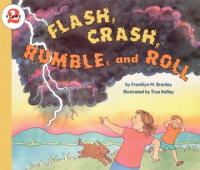 Flash__crash__rumble__and_roll