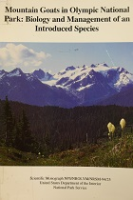 Mountain_goats_in_Olympic_National_Park