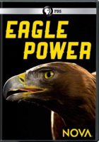 Eagle_power