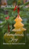 Amish_Christmas_Joy