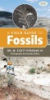 A_field_guide_to_fossils