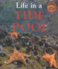 Life_in_a_tide_pool