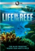 Life_on_the_reef