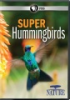 Super_hummingbirds
