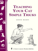 Teaching_Your_Cat_Simple_Tricks