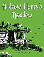 Andrew_Henry_s_meadow